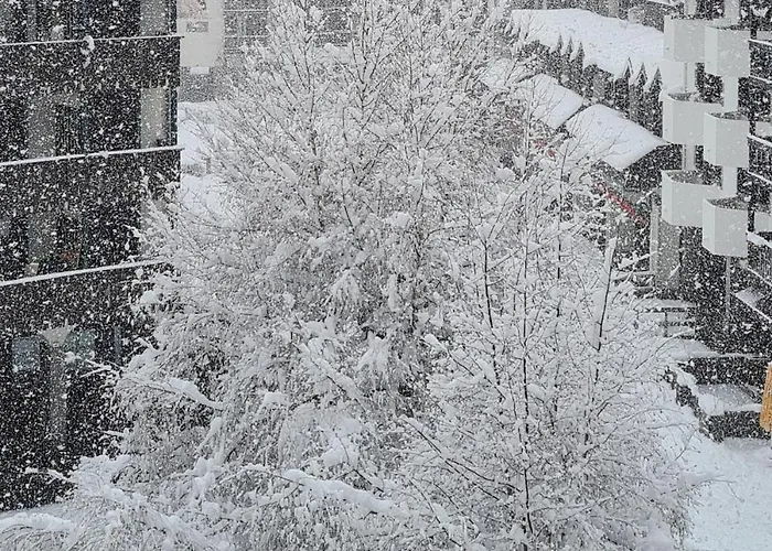 Apartmán Le Du Cerf *